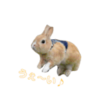 豆助とみずき（個別スタンプ：3）