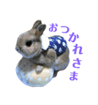 豆助とみずき（個別スタンプ：12）