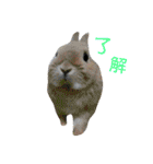 豆助とみずき（個別スタンプ：25）