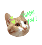 猫のいなり（個別スタンプ：2）
