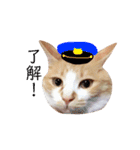 猫のいなり（個別スタンプ：5）