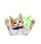 猫のいなり（個別スタンプ：7）
