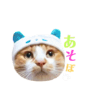 猫のいなり（個別スタンプ：17）