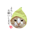 猫のいなり（個別スタンプ：20）