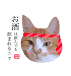 猫のいなり（個別スタンプ：22）