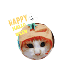 猫のいなり（個別スタンプ：24）