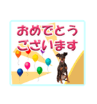 ミニピン デカ文字 感謝とお祝い（個別スタンプ：2）