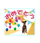 ミニピン デカ文字 感謝とお祝い（個別スタンプ：3）