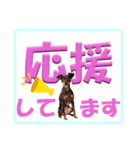 ミニピン デカ文字 感謝とお祝い（個別スタンプ：7）