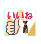 ミニピン デカ文字 感謝とお祝い（個別スタンプ：9）