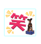 ミニピン デカ文字 感謝とお祝い（個別スタンプ：11）