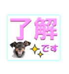 ミニピン デカ文字 感謝とお祝い（個別スタンプ：13）