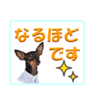 ミニピン デカ文字 感謝とお祝い（個別スタンプ：20）