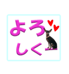 ミニピン デカ文字 感謝とお祝い（個別スタンプ：25）