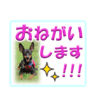 ミニピン デカ文字 感謝とお祝い（個別スタンプ：26）
