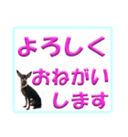 ミニピン デカ文字 感謝とお祝い（個別スタンプ：27）
