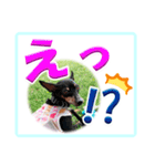 ミニピン デカ文字 感謝とお祝い（個別スタンプ：33）