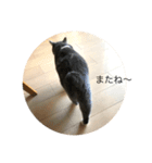 くまお部屋 3 (こぐまも増えた！)（個別スタンプ：8）
