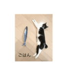 くまお部屋 3 (こぐまも増えた！)（個別スタンプ：9）