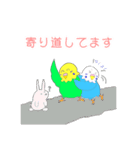 ゆるめのセキセイインコ2（個別スタンプ：10）