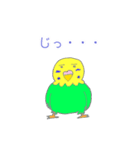 ゆるめのセキセイインコ2（個別スタンプ：26）