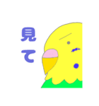 ゆるめのセキセイインコ2（個別スタンプ：37）