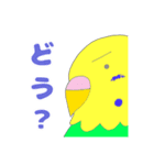 ゆるめのセキセイインコ2（個別スタンプ：38）
