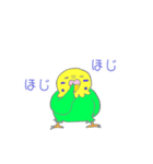 ゆるめのセキセイインコ2（個別スタンプ：39）
