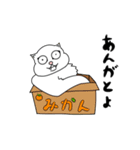 ぽっちゃり猫の日常（個別スタンプ：10）