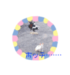 猫まみれ色々03（個別スタンプ：6）