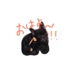 フレンチブルドッグ by Rosinyan4（個別スタンプ：2）