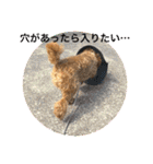 シュナ♡スタンプ（個別スタンプ：1）