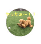 シュナ♡スタンプ（個別スタンプ：8）