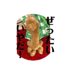 シュナ♡スタンプ（個別スタンプ：11）