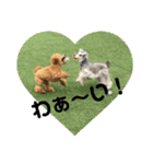 シュナ♡スタンプ（個別スタンプ：18）