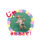 シュナ♡スタンプ（個別スタンプ：19）
