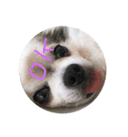 落ち込んだ時に元気をくれるねこたん2（個別スタンプ：4）