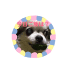 落ち込んだ時に元気をくれるねこたん2（個別スタンプ：7）