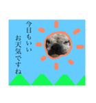 ブルドッグ祭り（個別スタンプ：4）