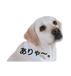 ほたる＆ぐ～ 2（個別スタンプ：6）