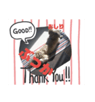 奄美 方言（ムク）（個別スタンプ：5）