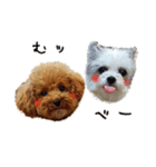 リンドちゃんとこてつちゃん（個別スタンプ：1）