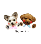 リンドちゃんとこてつちゃん（個別スタンプ：3）