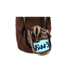 袋モモンガ（個別スタンプ：4）