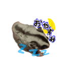 袋モモンガ（個別スタンプ：8）