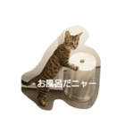 にゃーにゃとくろすけ（個別スタンプ：2）