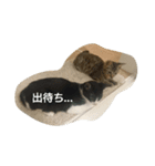 にゃーにゃとくろすけ（個別スタンプ：4）