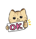 キジトラとハチワレ（個別スタンプ：1）