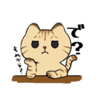 キジトラとハチワレ（個別スタンプ：5）