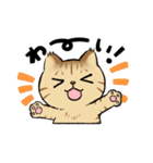 キジトラとハチワレ（個別スタンプ：8）